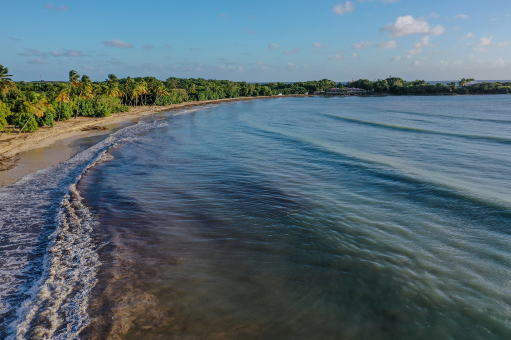 Murmures de l’Atlantique en Martinique