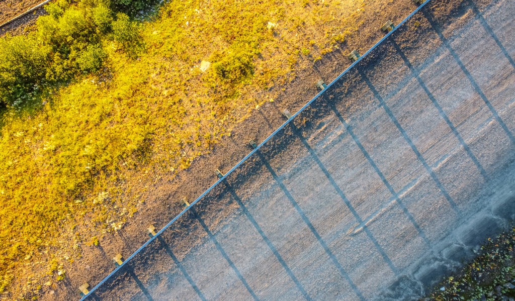 À l'ombre des lignes