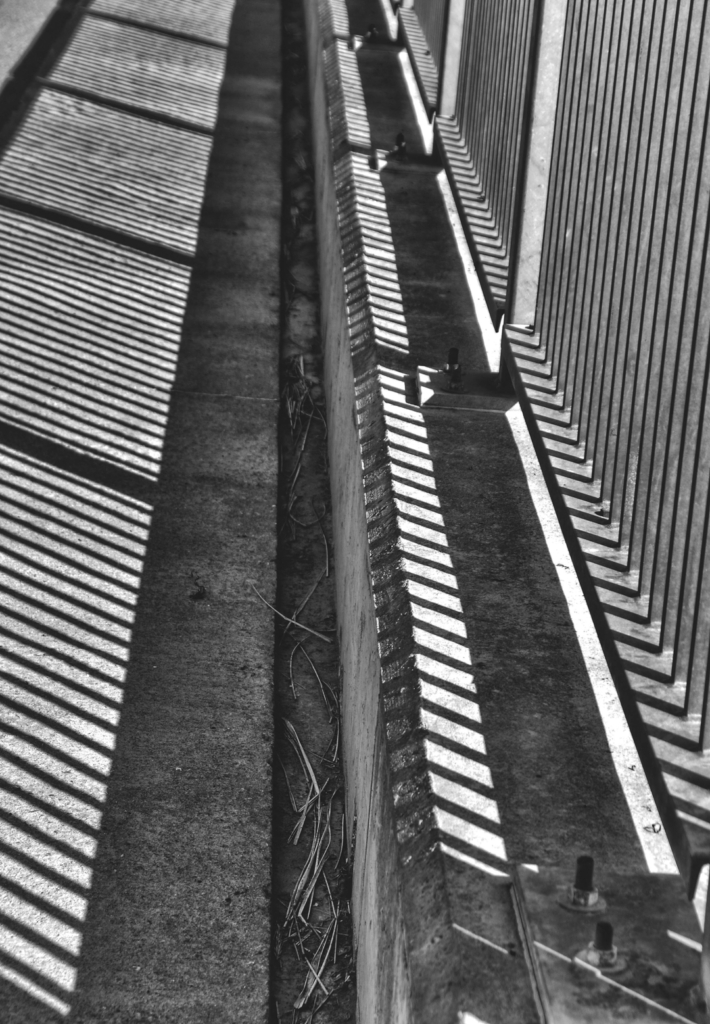 La clôture et ses ombres