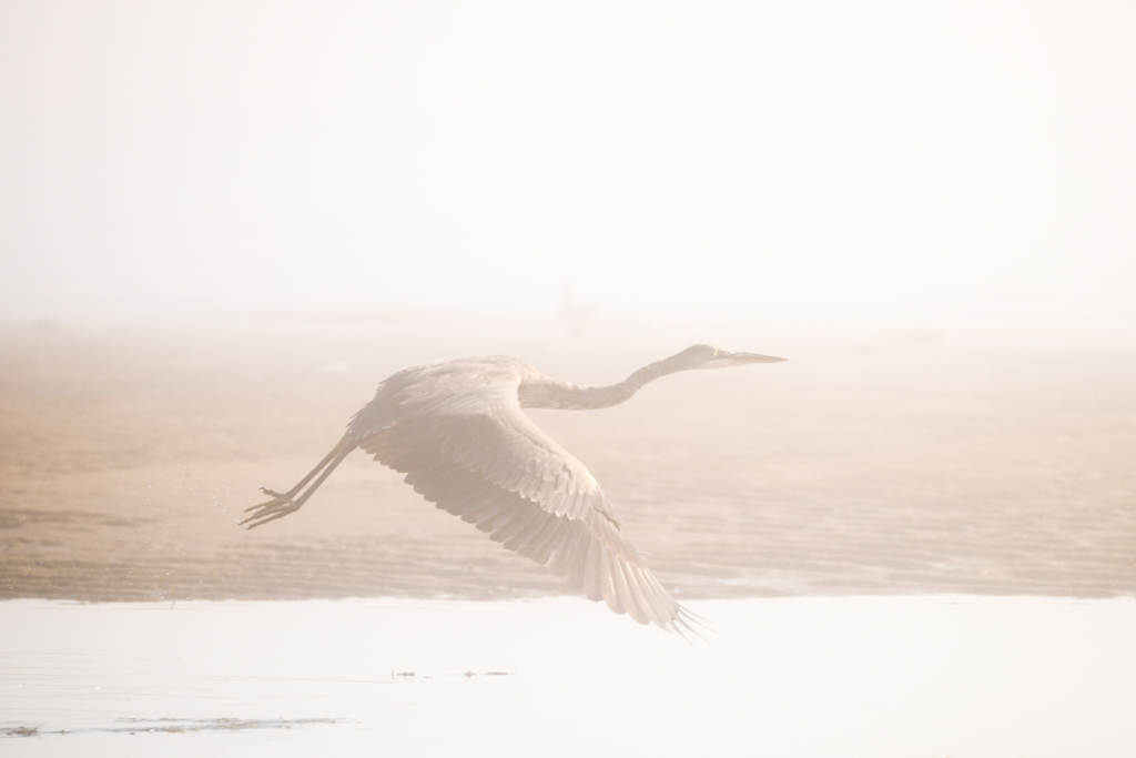 Une percée dans le brouillard