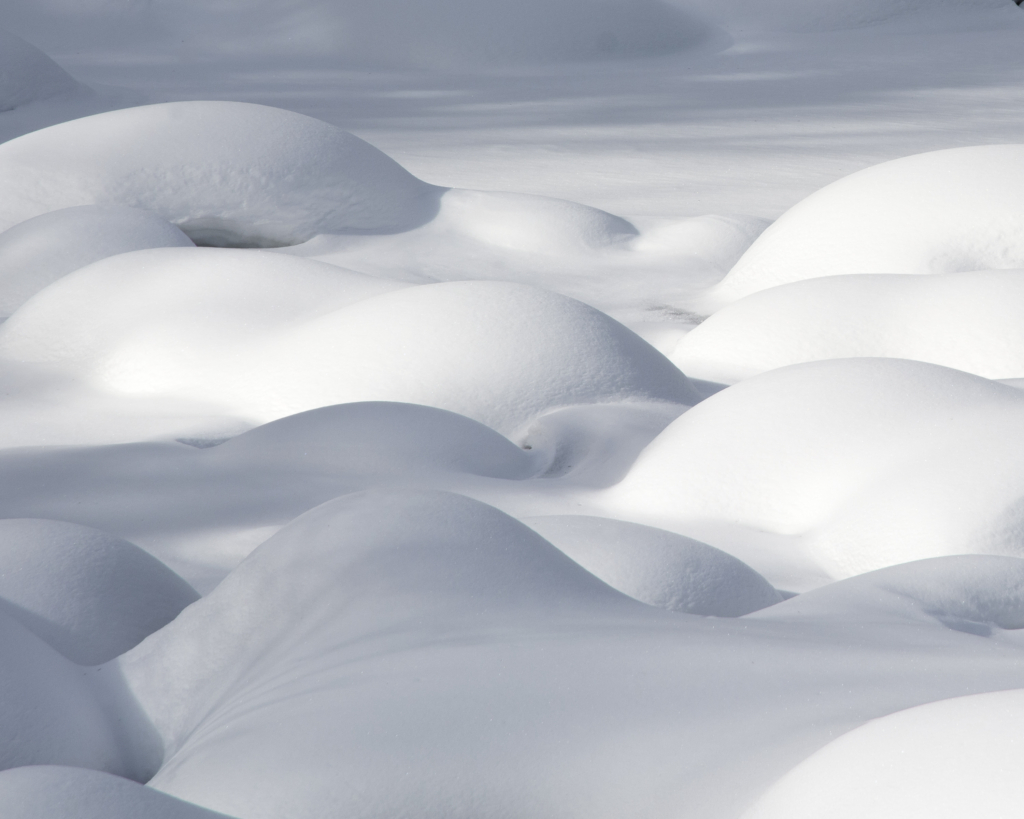 Douceur hivernale