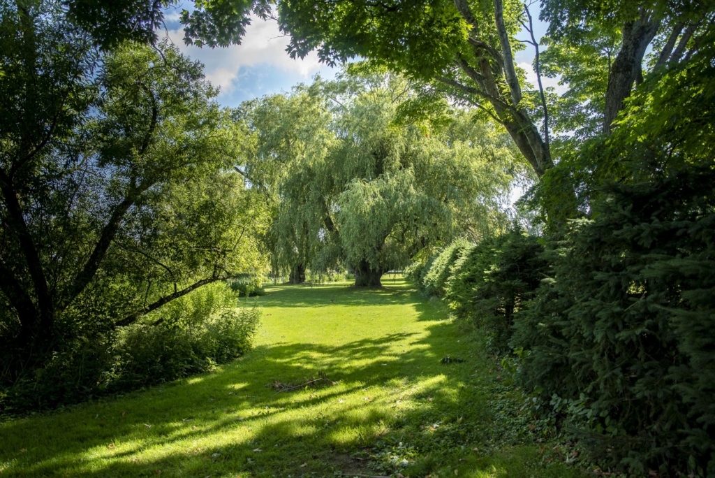 Verdure