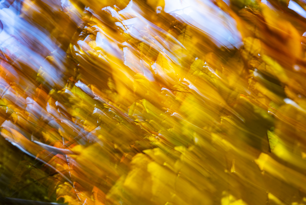 splash de couleurs