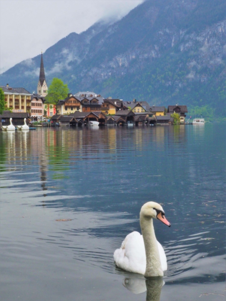 Moment de sérénité a Hallstatt