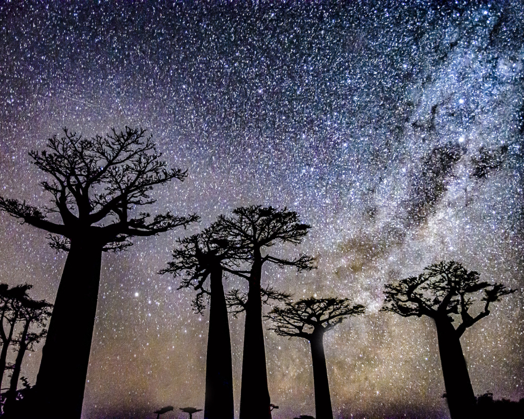 Madagascar la nuit