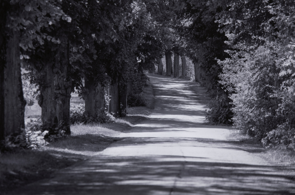 Route céleste