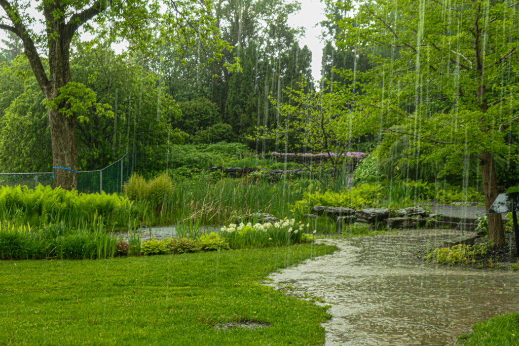 Déluge au Jardin Van Den Hende