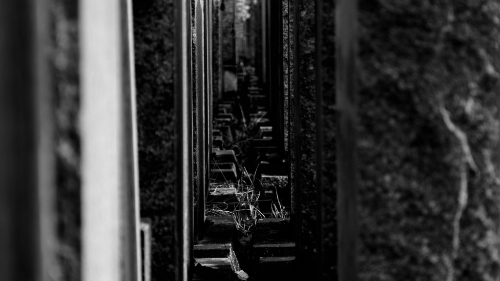 Entre les tombes