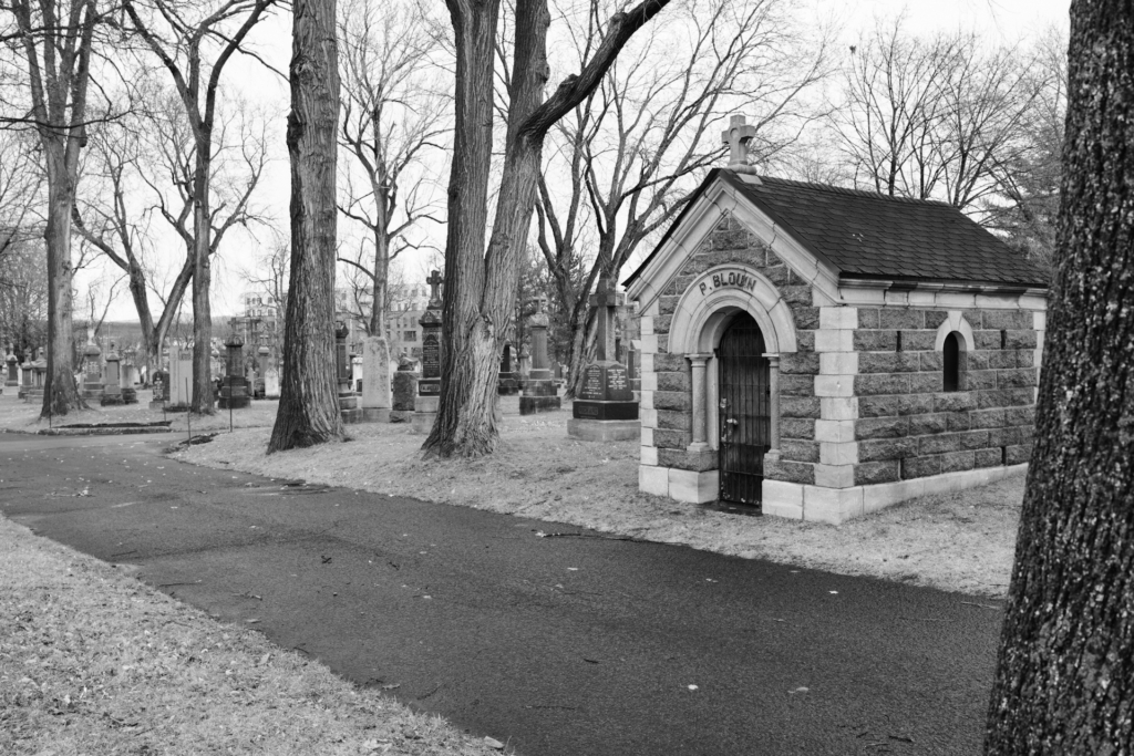 Novembre au cimetière