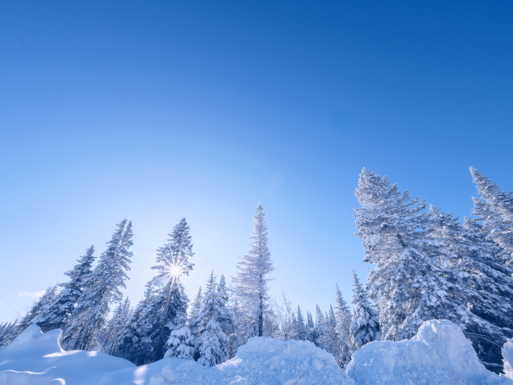 Froideur de janvier