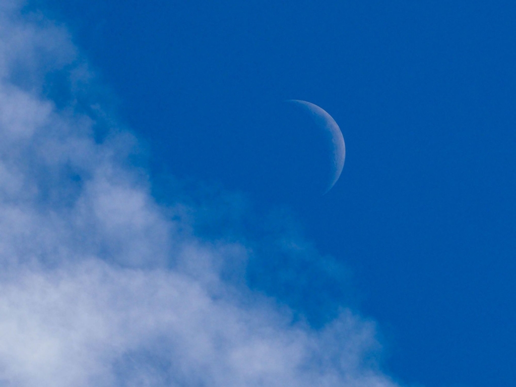 Dreamworks