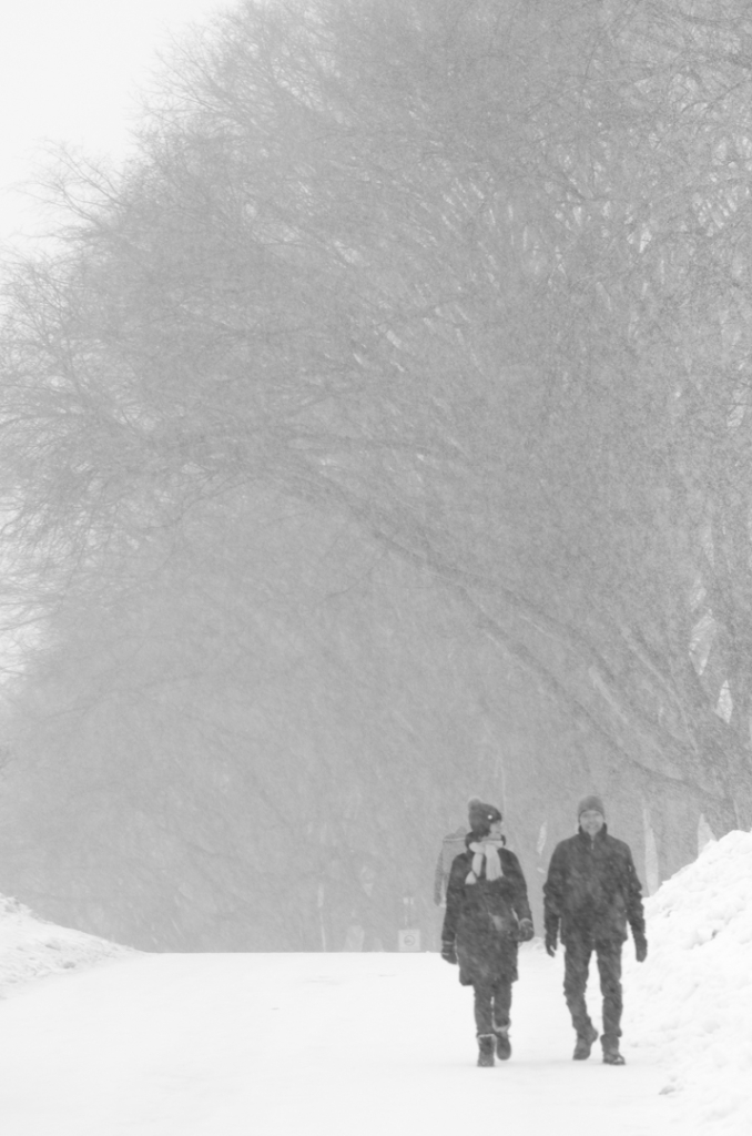 Jour de neige