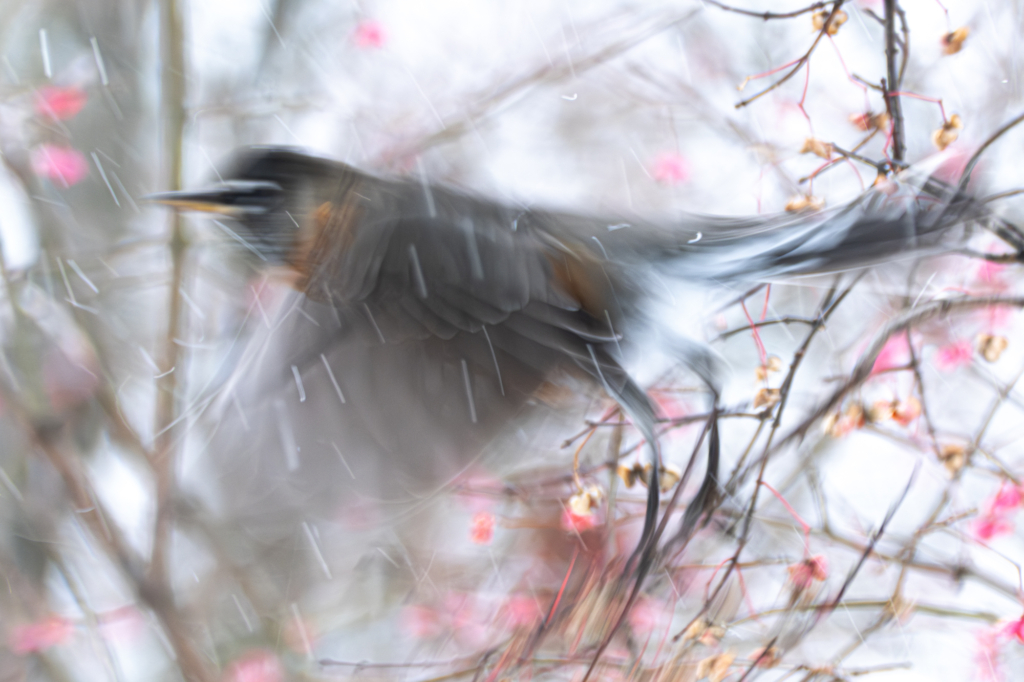 La neige en mouvement