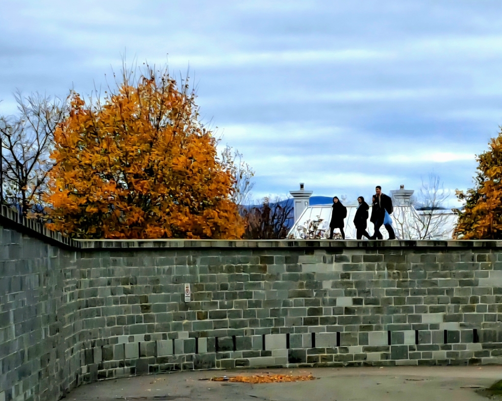 Les murs de la Citadelle
