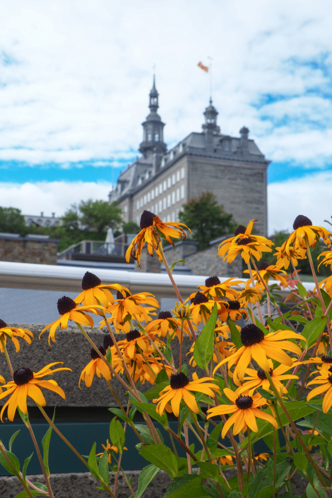 Des fleurs pour le Séminaire
