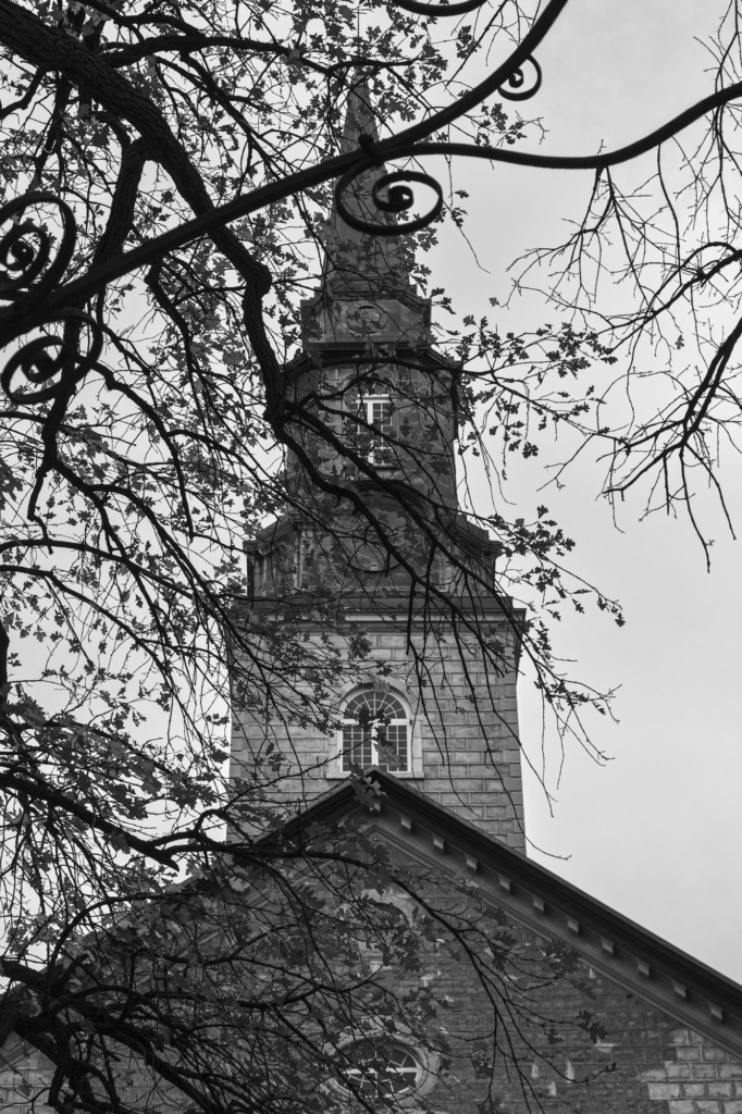Veins of History #03