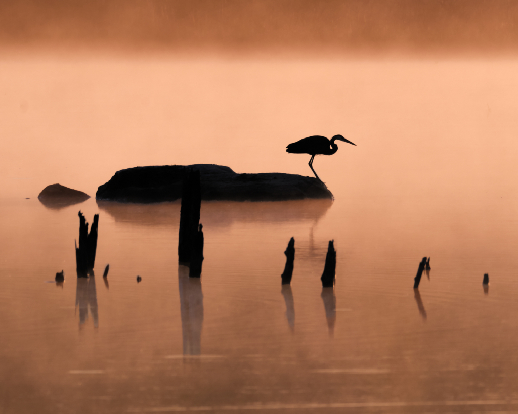Tôt un matin calme