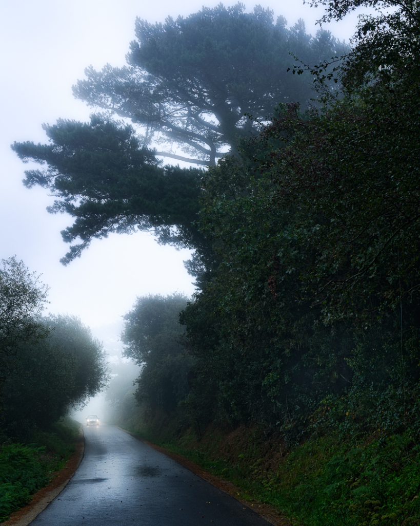 Brume matinale