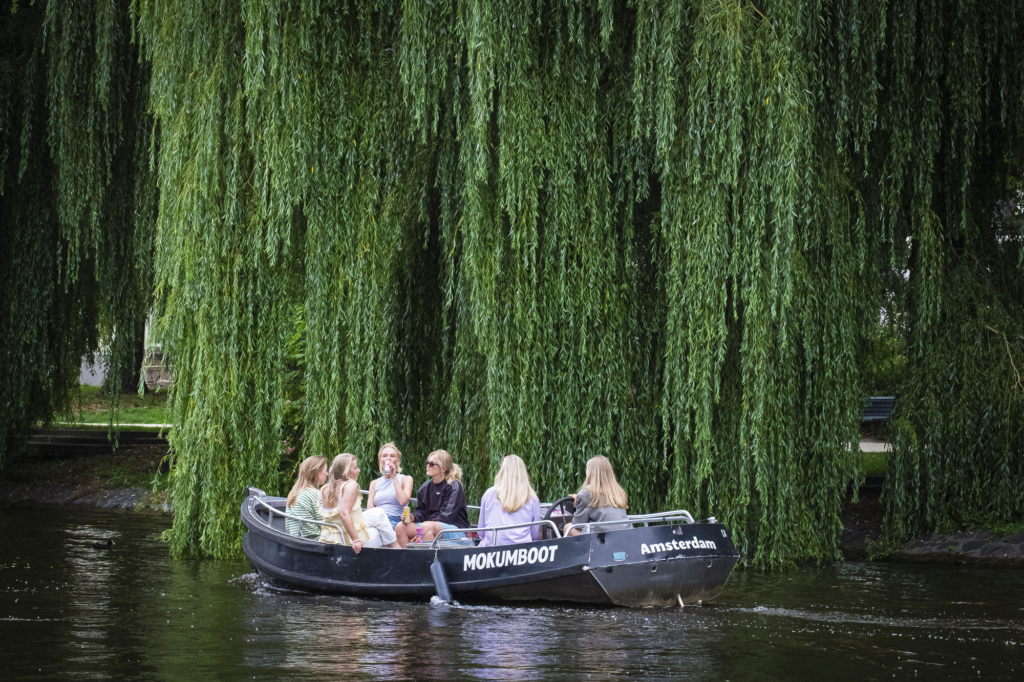 Le rêve vert des Amster-Dames.