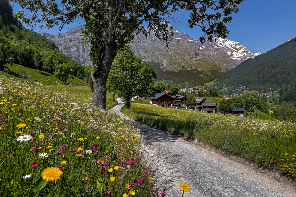 Traversée alpine