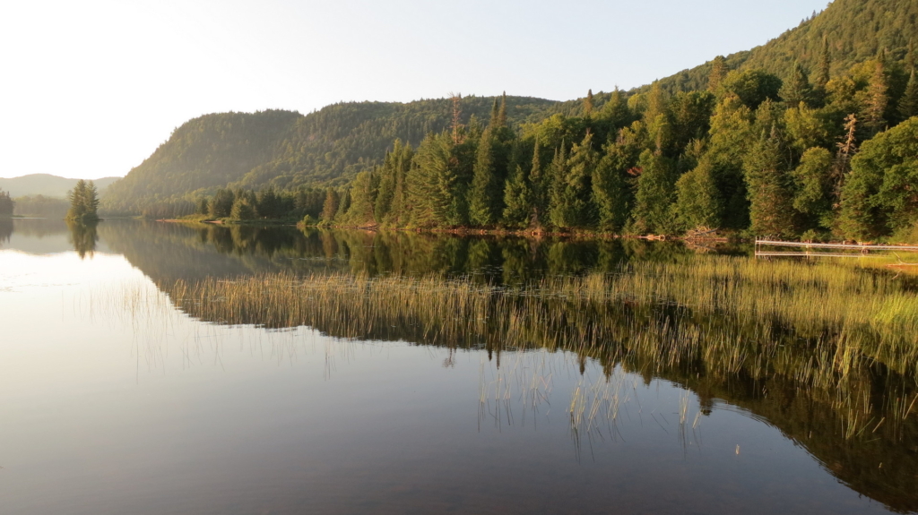 Quiétude au bord du lac