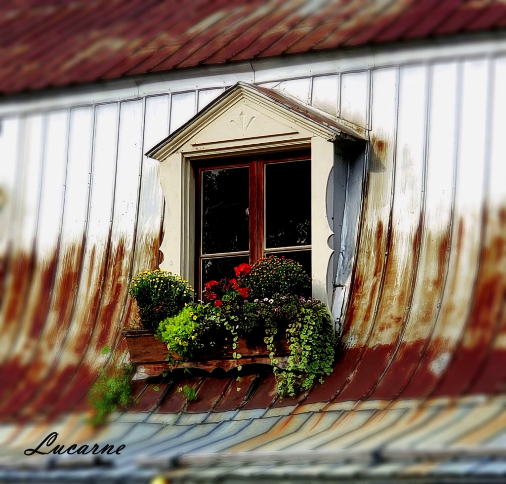 Lucarne