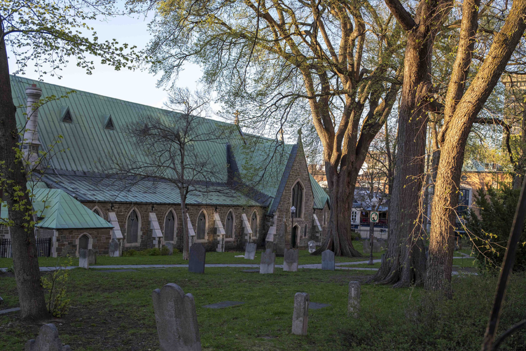 Église en paix, bibliothèque vivante